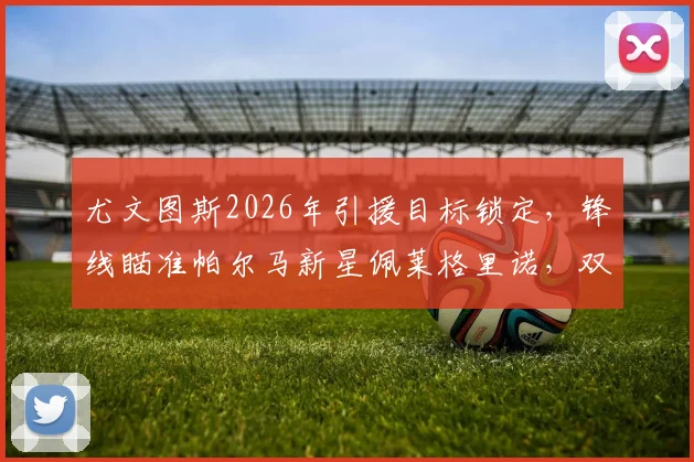 尤文图斯2026年引援目标锁定，锋线瞄准帕尔马新星佩莱格里诺，双方协议细节前瞻