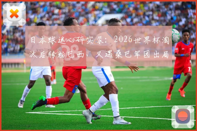 日本球迷心碎实录：2026世界杯淘汰后转粉巴西，又遇桑巴军团出局